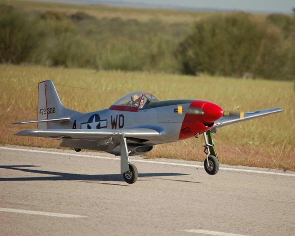 Download Bellota000050 (600Wx480H)